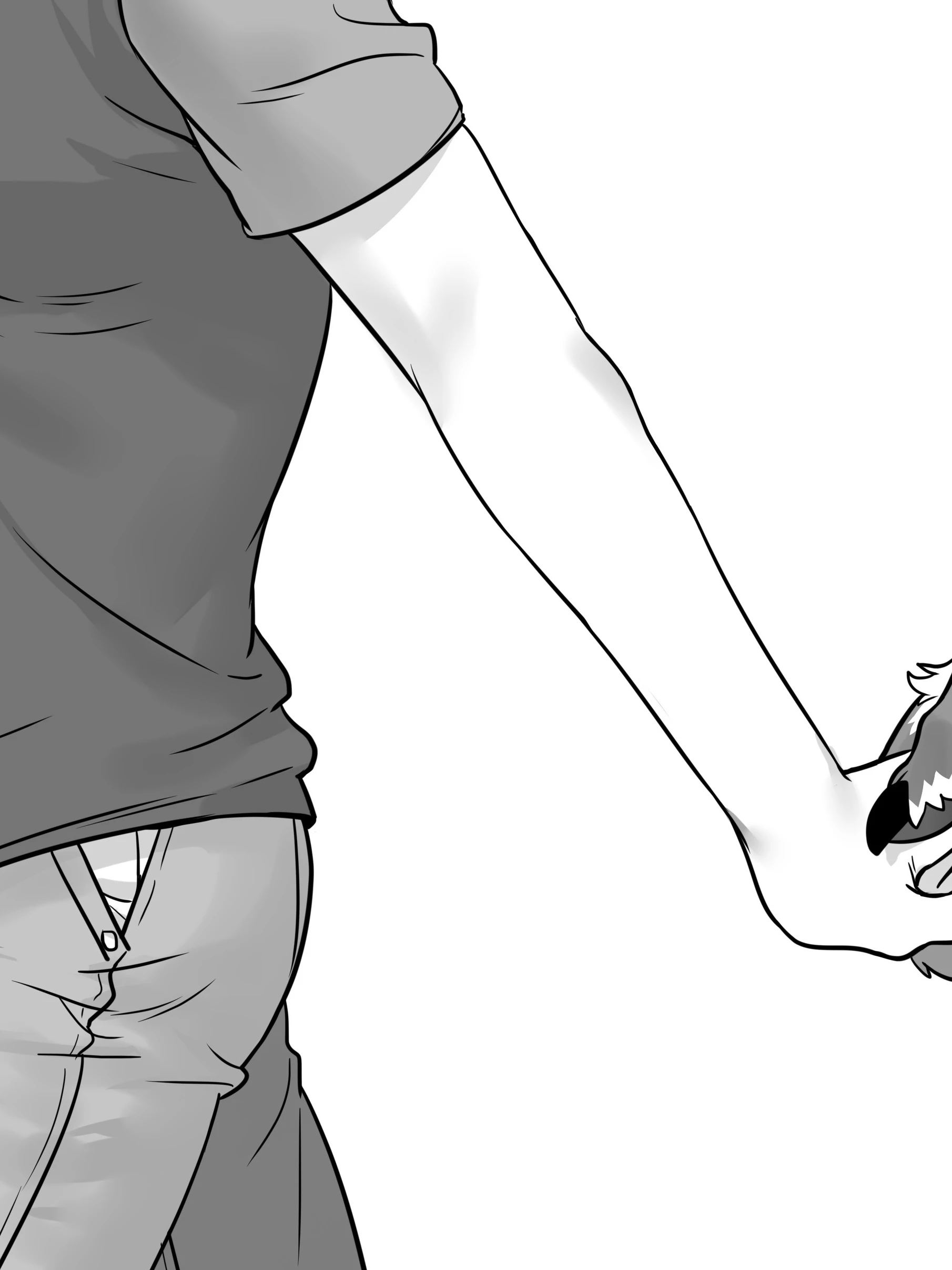 Canine Senior and Dog Junior: a hand and a paw holding on the way home from shopping