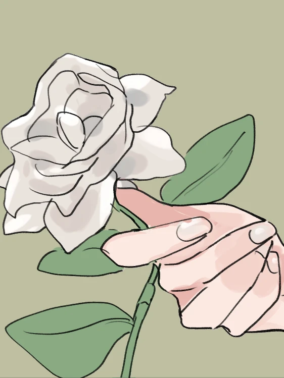 I Got Blackmailed by the Green Tea Bitch in Class: A hand holding out a white rose