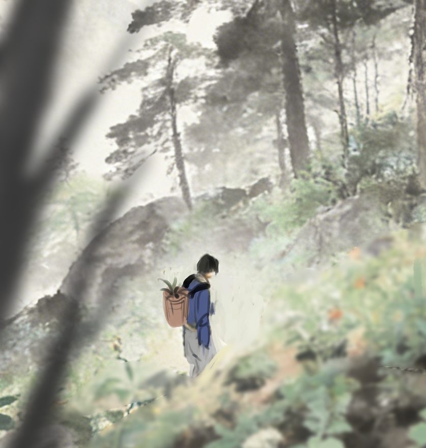 A boy with a herb basket climbs through a misty pine forest